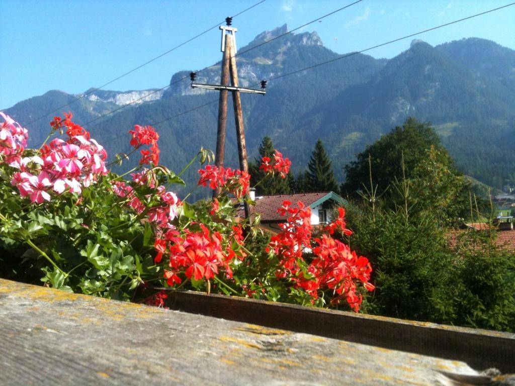 Pension Larchenhof Maurach  Szoba fotó